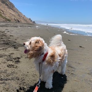 Meet your Posher, Adam